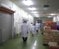 防災訓練2
