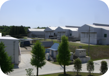 （有）元木養鶏市原ＧＰセンター（千葉県市原市）