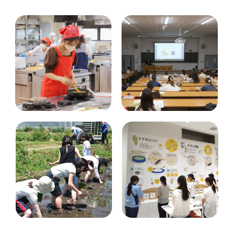 主な取り組み活動